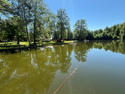 Open Air Gottesdienst am Zeller See, 15. Juni um 10:00 Uhr
